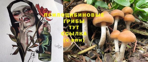 дурь Кодинск