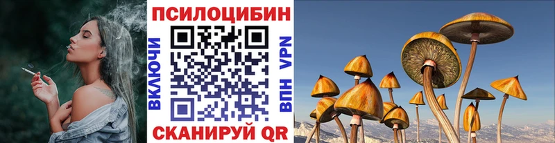 Купить  Саратов  Галлюциногенные грибы мицелий 